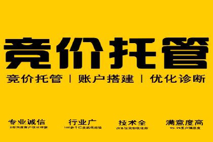 百度竞价托管外包成功案例：从零到一的突破